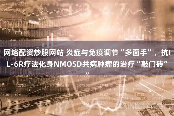 网络配资炒股网站 炎症与免疫调节“多面手”，抗IL-6R疗法化身NMOSD共病肿瘤的治疗“敲门砖”