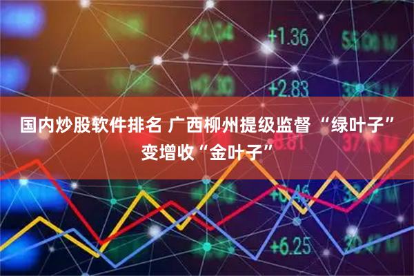 国内炒股软件排名 广西柳州提级监督 “绿叶子”变增收“金叶子”